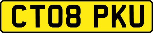 CT08PKU