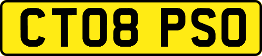 CT08PSO
