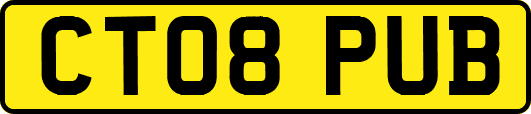CT08PUB