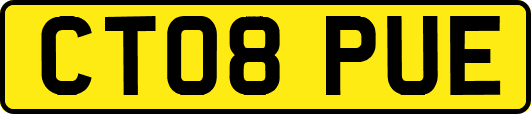 CT08PUE
