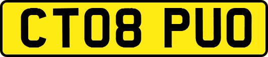 CT08PUO
