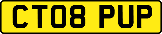 CT08PUP
