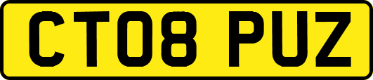 CT08PUZ