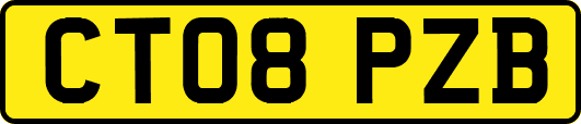 CT08PZB