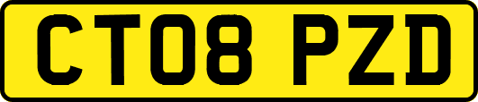 CT08PZD