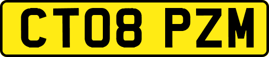 CT08PZM