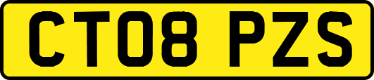 CT08PZS