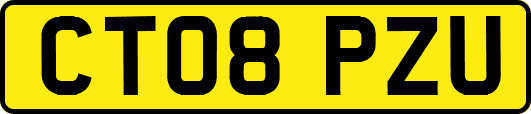 CT08PZU