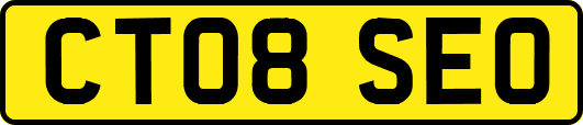 CT08SEO