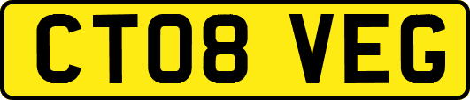 CT08VEG