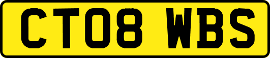 CT08WBS