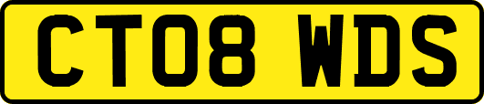 CT08WDS