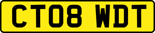 CT08WDT