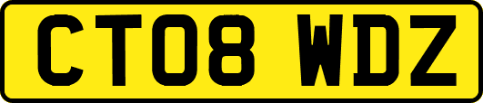 CT08WDZ