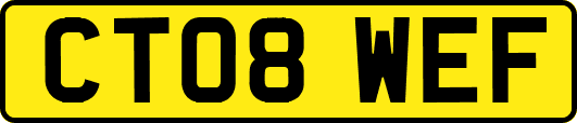 CT08WEF