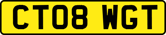 CT08WGT