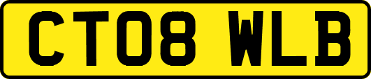 CT08WLB