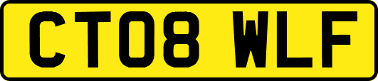 CT08WLF