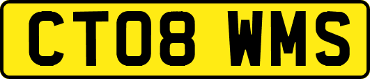 CT08WMS