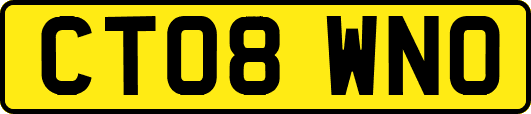 CT08WNO