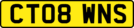 CT08WNS