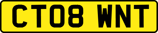 CT08WNT