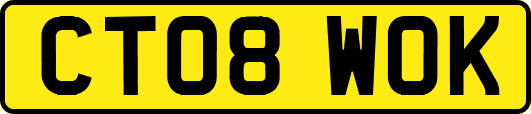 CT08WOK