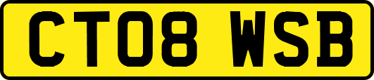 CT08WSB