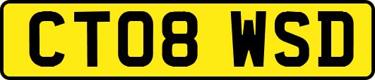 CT08WSD