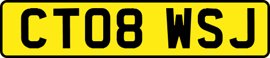 CT08WSJ