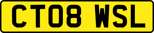 CT08WSL