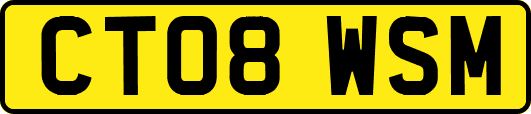 CT08WSM