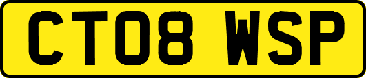 CT08WSP