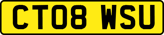 CT08WSU