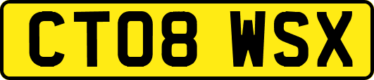 CT08WSX