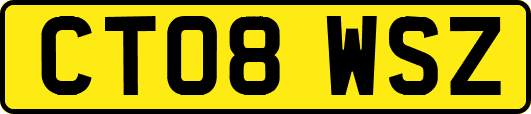 CT08WSZ