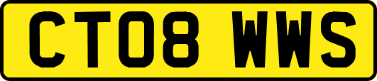 CT08WWS