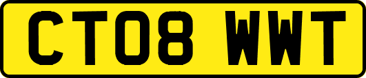 CT08WWT