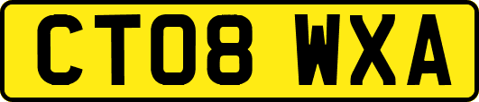 CT08WXA