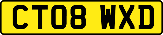 CT08WXD
