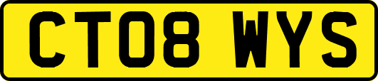 CT08WYS