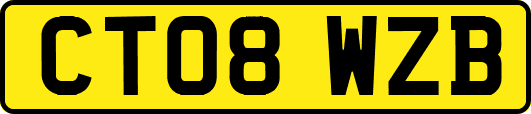 CT08WZB