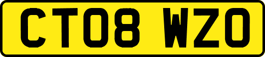 CT08WZO