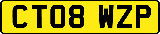 CT08WZP