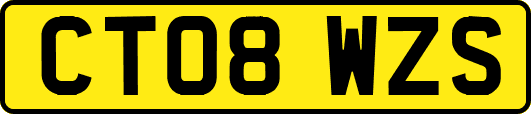 CT08WZS