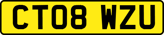 CT08WZU