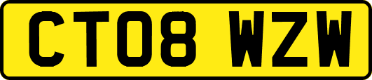 CT08WZW