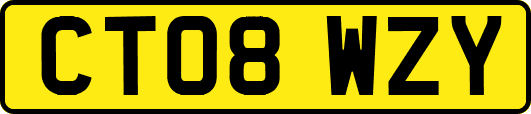 CT08WZY
