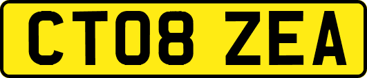 CT08ZEA