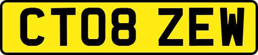 CT08ZEW